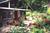 Brightwood Guest House Bed & Breakfast::BedAndBreakfast.com