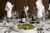 Holiday Inn Select Denver-Parker-E470/Parker Rd::Priceline.com