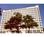 Doubletree Dallas Market Center::Epinions.com