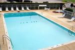 Tn-004308_pool_02_f