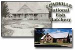 Leadville National Fish Hatchery
