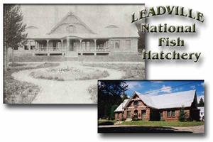 Leadville National Fish Hatchery::Fws.gov