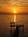 A White Texas Pelican::TripAdvisor
