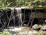 Serenity Lake Bed and Breakfast