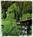 Vail Racquet Club Townhomes and Condominiums::Yahoo! Travel