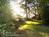 Annabelle's Bed and Breakfast::BedAndBreakfast.com
