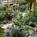 Embassy Suites Hotel San Francisco-Airport/Burlingame::Priceline.com