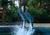 Siegfried & Roy's Secret Garden and Dolphin Habitat from Yahoo! Travel