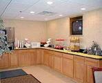 Comfort Inn & Suites Airport Camp Creek