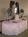Holiday Inn Lockport::Priceline.com