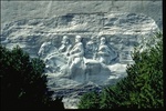 Tn-carving_-_with_trees_lg