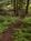 Timberholm Inn B And B::ProfessionalTravelGuide.com