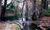 Cypress Creek Cottages::PetFriendly.com