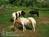 Rainbow Plantation Bed and Breakfast::BedAndBreakfast.com