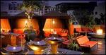Stingaree