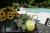 1861 Inn::BedAndBreakfast.com