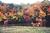 Mountain Laurel Inn::BedAndBreakfast.com