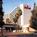 Marriott Sacramento Rancho Cordova::Hotels.com