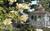 The Inn at Long Lake::BedAndBreakfast.com