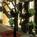 Lafayette Hotel::ProfessionalTravelGuide.com