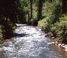 Tn-park_nf1