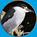 Palm Beach Zoo at Dreher Park::Palmbeachzoo