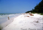 Captiva Island