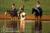 Southern Cross Ranch/Bed and Breakfast::BedAndBreakfast.com