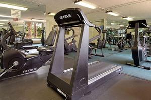 Web-ftl_rapa-fitns-1
