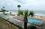 La Breeze Inn and Suites::Hotels.com