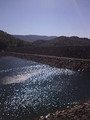 Tn-297498178_c068c6bd00_m