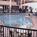 Plaza Hotel and Suites::Expedia