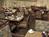 Crowne Plaza Old Mill::Orbitz
