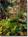 The J Patrick House::LanierBB.com