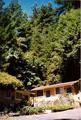 Fern Grove Cottages