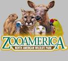 Zoo American
