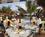 Riu Florida Beach::ProfessionalTravelGuide.com