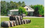 Castello di Borghese Vineyard Winery