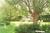 A Butler's Manor::ProfessionalTravelGuide.com
