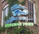 Blue Iguana