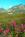 Hatcher Pass Bed and Breakfast::BedAndBreakfast.com