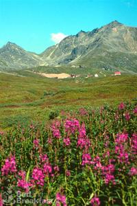 Hatcher Pass Bed and Breakfast::BedAndBreakfast.com