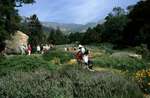 Tn-botanic_gardens_walk_m