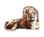 Sacramento Zoo from Epinions.com