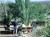 Best Western Lookout Lodge::Orbitz