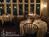 Inn At West View Farm::BedAndBreakfast.com
