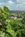 Hermann Hill Vineyard & Inn::BedAndBreakfast.com