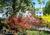 Freeport Clipper Inn Bed & Breakfast::BedAndBreakfast.com