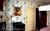 The Northeast Harbor Inn (Maison Suisse/Pergrine)::BedAndBreakfast.com