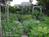 B&B at Roseledge Herb Farm::BedAndBreakfast.com